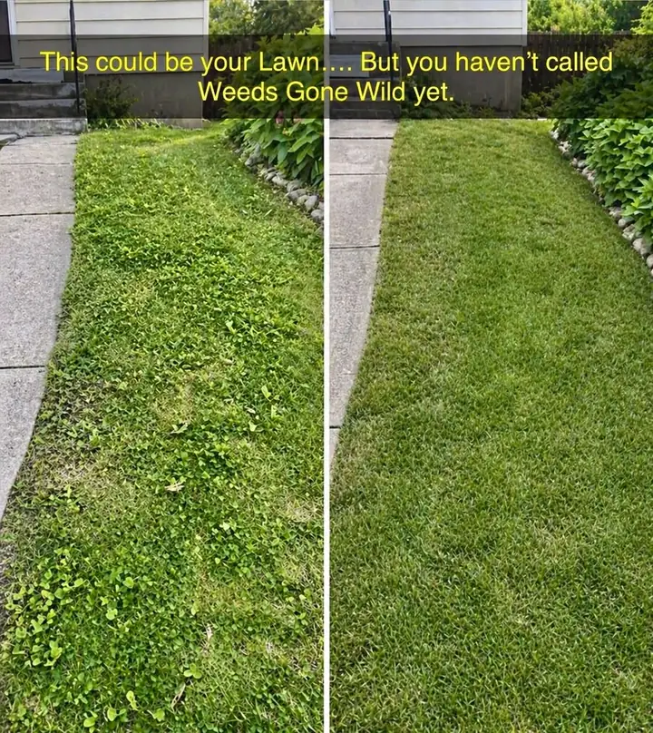Lawn Grub & Armyworm Control