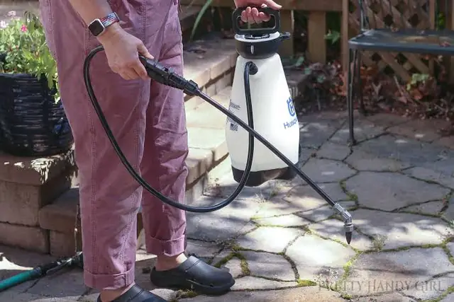 Lawn Weed Control Brisbane